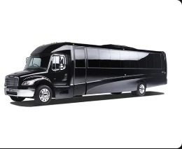 Executive Mini Coach